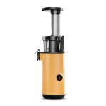 Extracteur de Jus Electrique